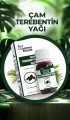 Çam Terebentin Yağı 20 ml
