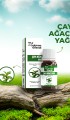 Çay Ağacı Yağı