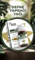 Defne Yağı