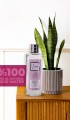 Saf Ve Doğal Gül Suyu 250ml