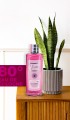 Elegance Kolonya 250 Ml