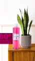Elegance Kolonya 400 Ml