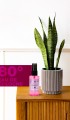 Va Cosmetıc Elegance Kolonya 50 ml