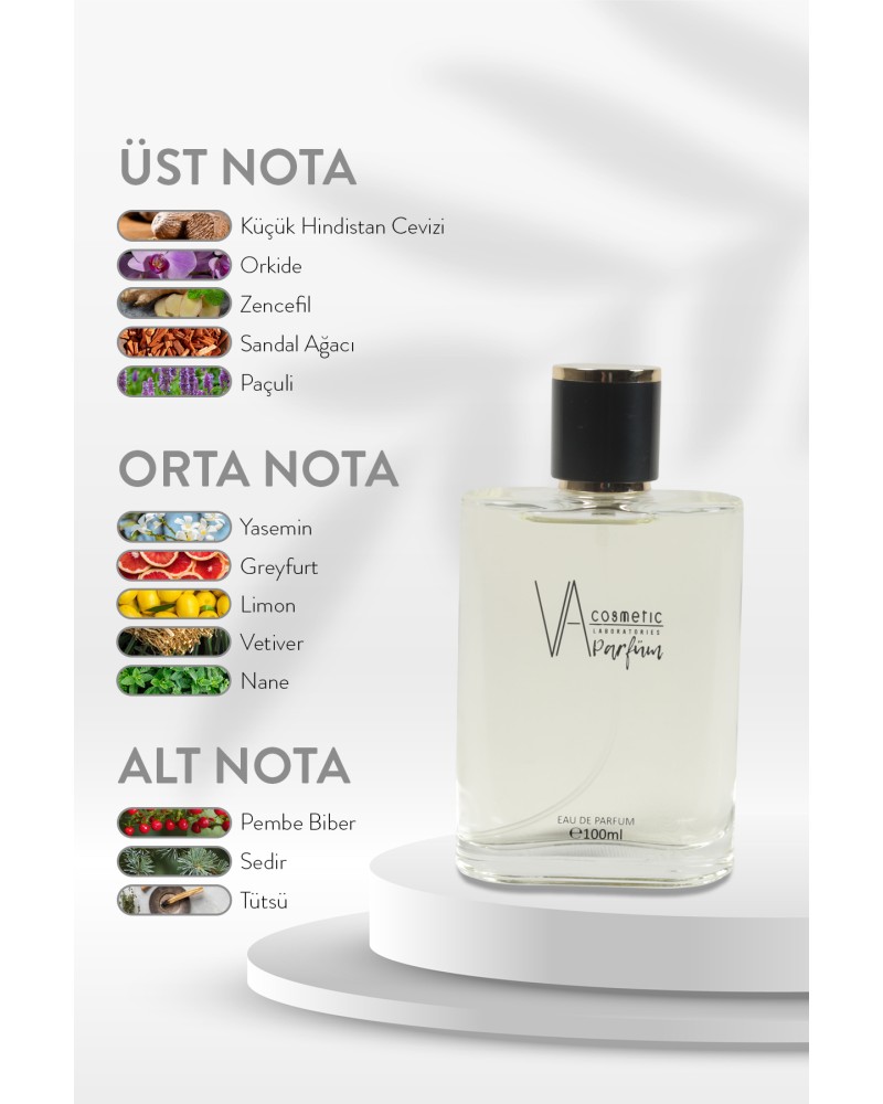 E-005 100 ML EDP 8684209860966