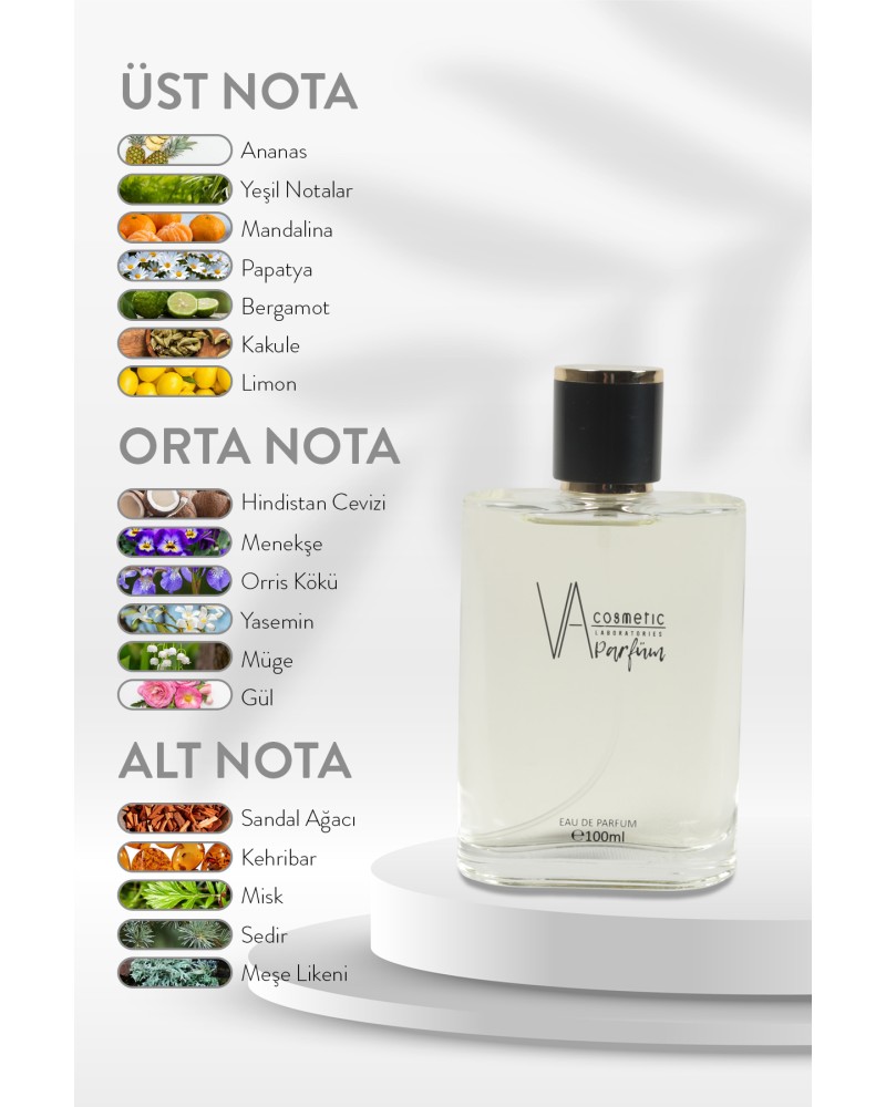 E-010 100 ML