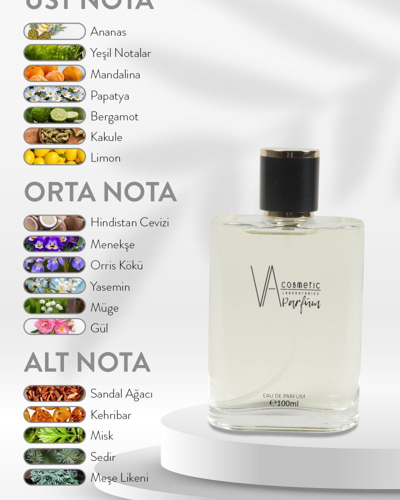 E-010 100 ML