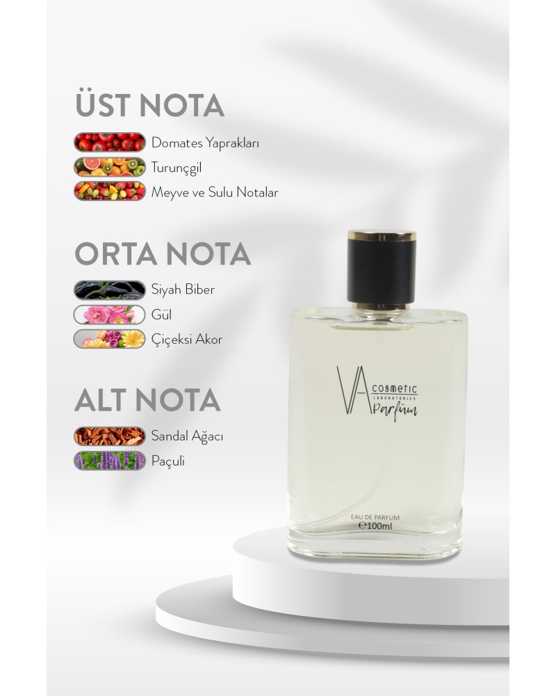 E-012 100 ML Edp Erkek Parfüm
