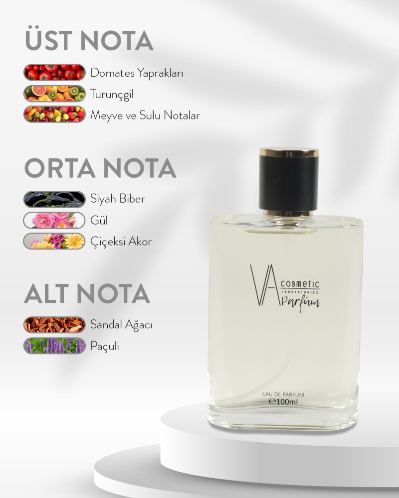 E-012 100 ML Edp Erkek Parfüm