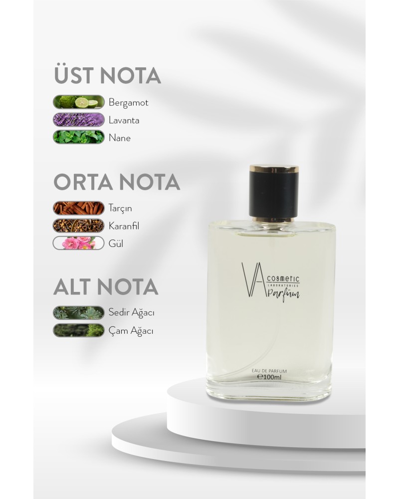 E-007 100 ML