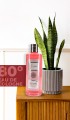Exellence Kolonya 250 Ml