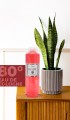 Exellence Kolonya 400 Ml