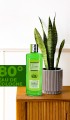 Grass Kolonya 250 Ml