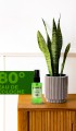 Grass Kolonya 50 Ml