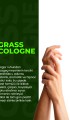 Grass Kolonya 50 Ml