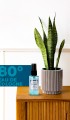 Ice Desert Kolonya 50 Ml