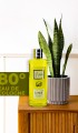 Lemon Kolonyası 250 Ml