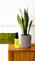 Lemon Kolonyası 50 Ml