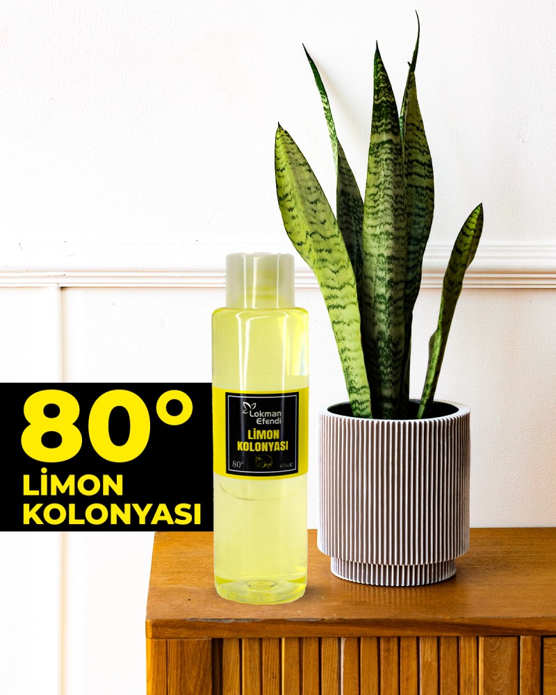 Limon Kolonyası