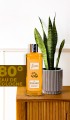 Mandarın Kolonya 250 ml