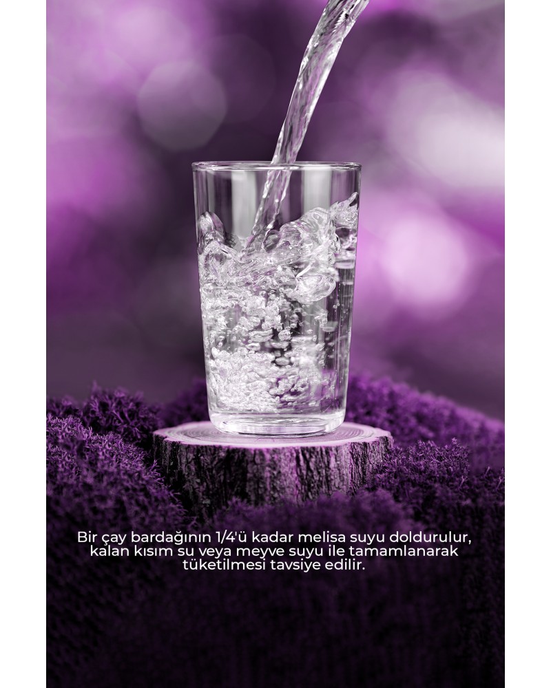 Melisa Suyu 500 ml