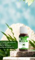 Melisa Yağı 20 ml