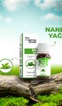 Nane Yağı
