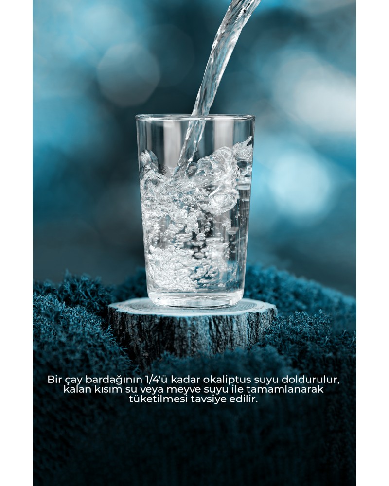 Okaliptus Suyu 500 ml