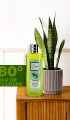 Olıve Kolonya 250 Ml