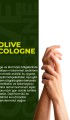 Olıve Kolonya 250 Ml