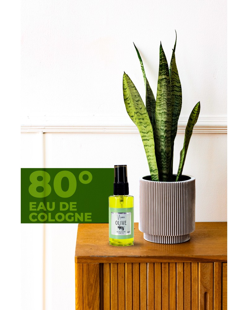 Olıve Kolonya 50 Ml