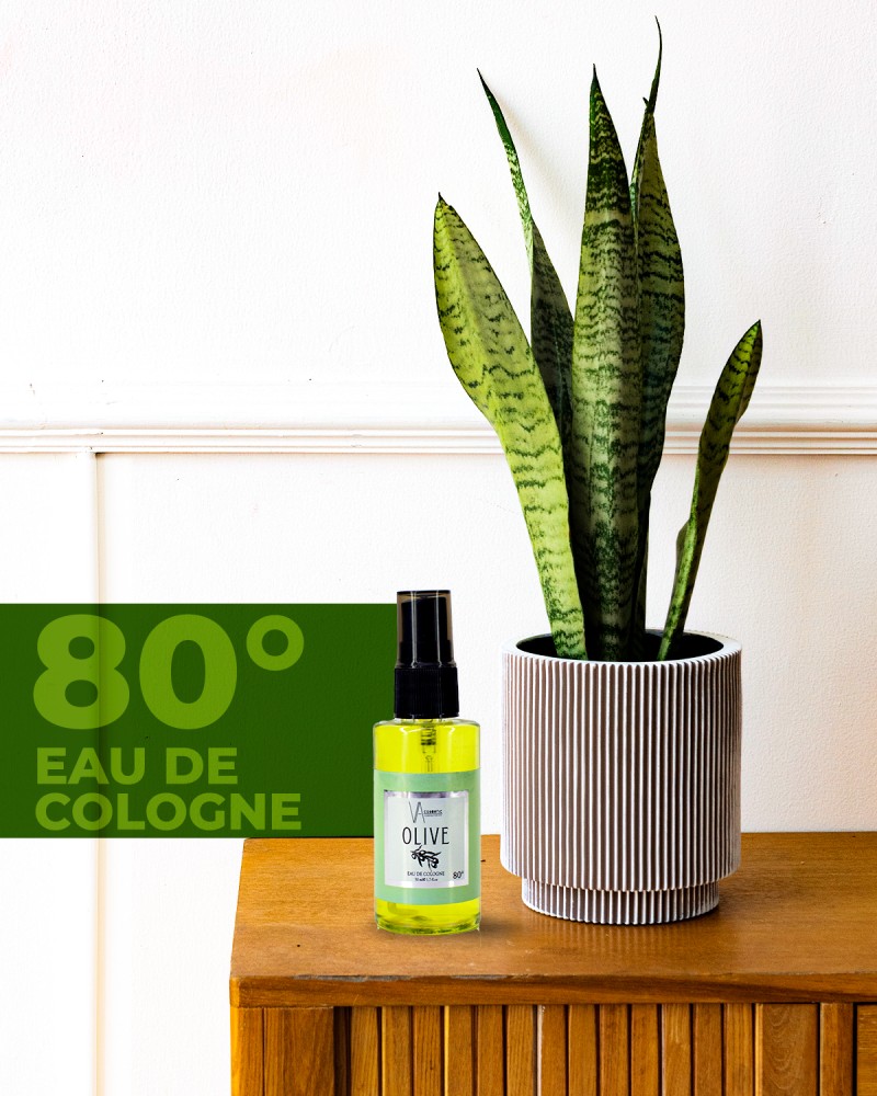 Olıve Kolonya 50 Ml