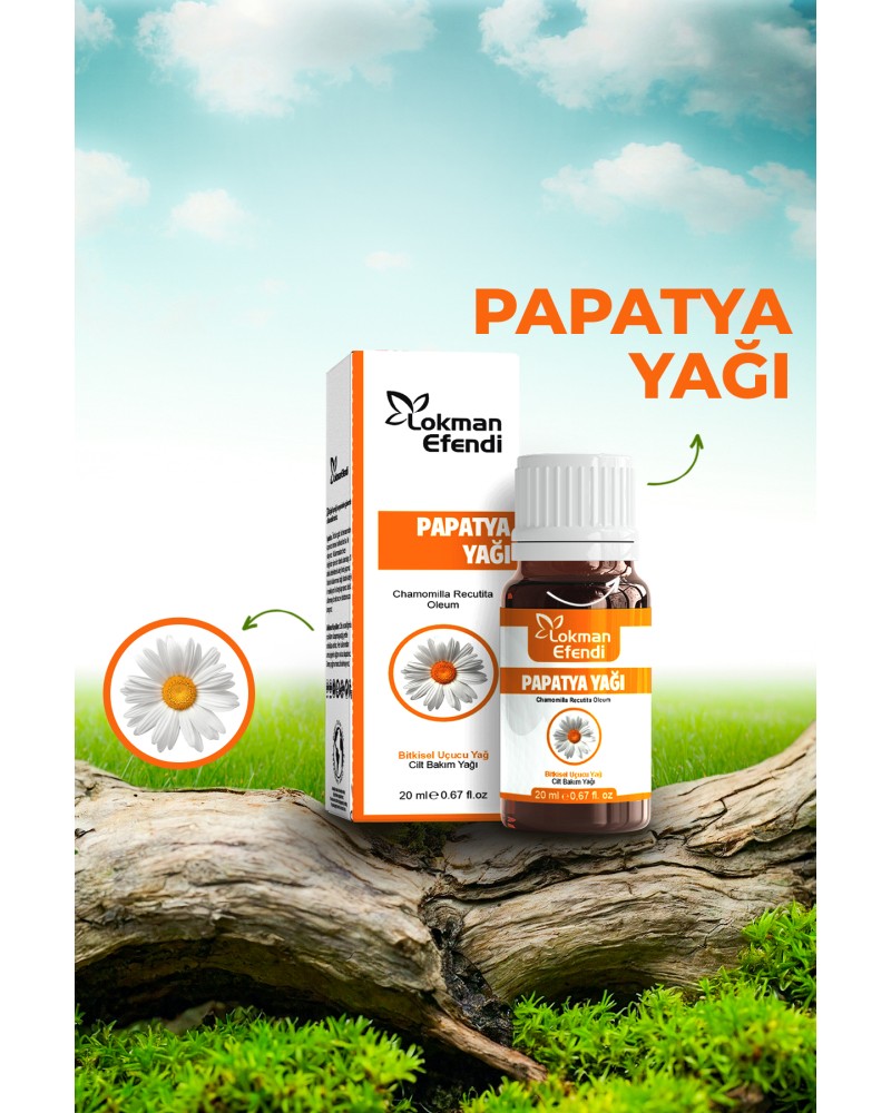 Papatya Yağı