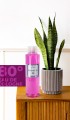 Remember Me Kolonya 400 MlCOSMETİC