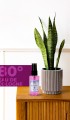 Remember Me Kolonya 50 Ml