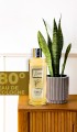 Tobacco Kolonya 250 Ml