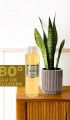 Tobacco Kolonya 400 Ml