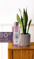 Vavs Kolonya 250 Ml