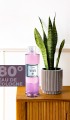 Vavs Kolonya 400 Ml
