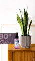 Vavs Kolonya 50 ml
