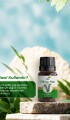 Biberiye Yağı 10 ml