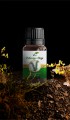 Biberiye Yağı 10 ml