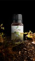 Nioli Yağı 10 ml