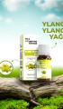 Ylang Ylang Yağı 20 ml