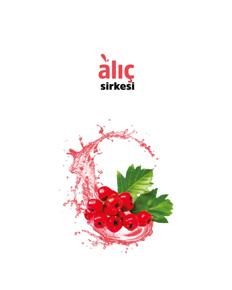 VHP ALIÇ SİRKESİ 500 ML -