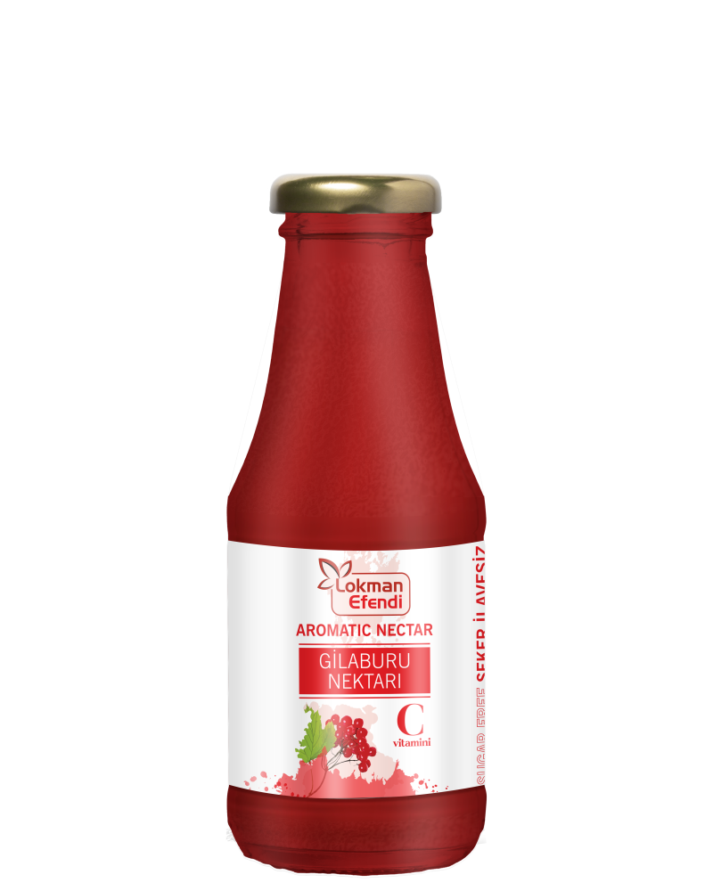 LOKMAN EFENDİ GİLABURU NEKTARI 1000 ML -