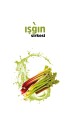 VHP IŞGIN SİRKESİ 500 ML - A.08384