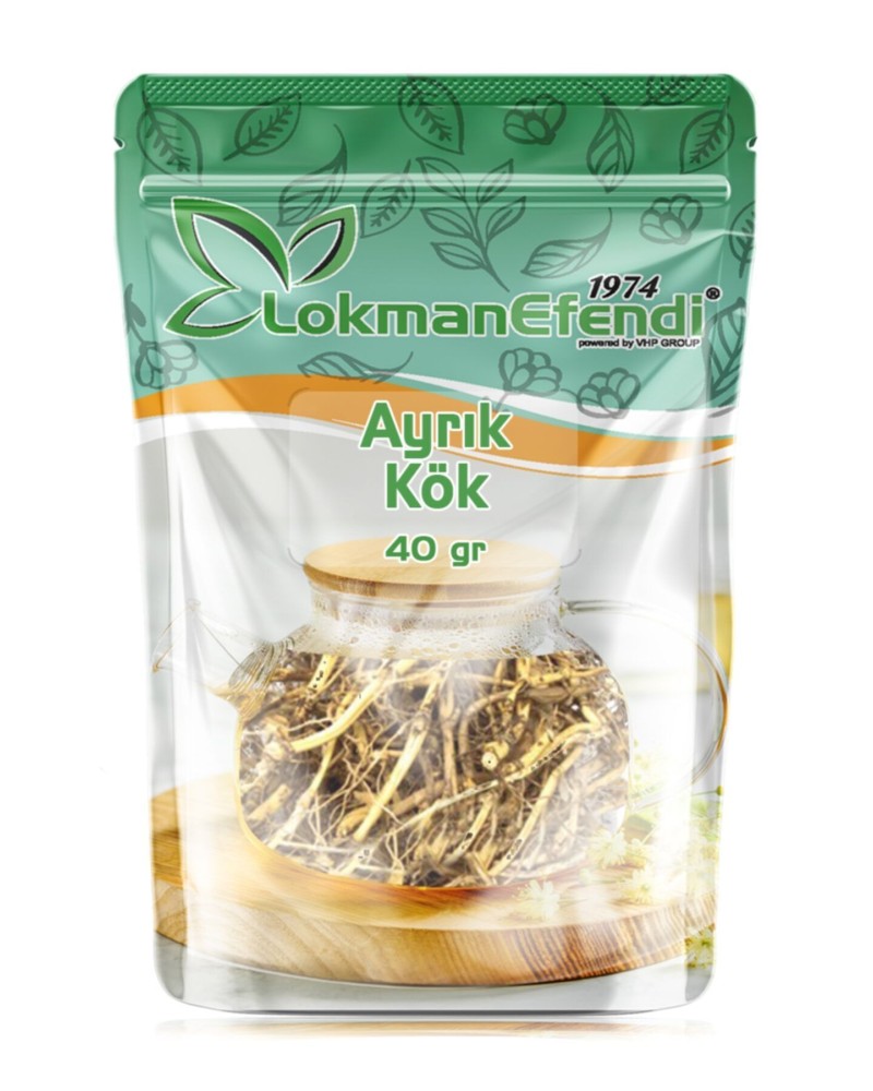 Lokman Efendi Ayrık Kökü