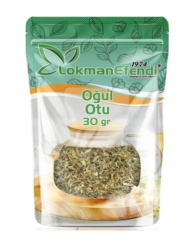 Lokman Efendi Oğulotu