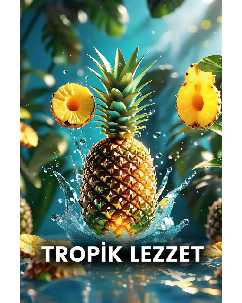 ANANAS SİRKESİ 500ML