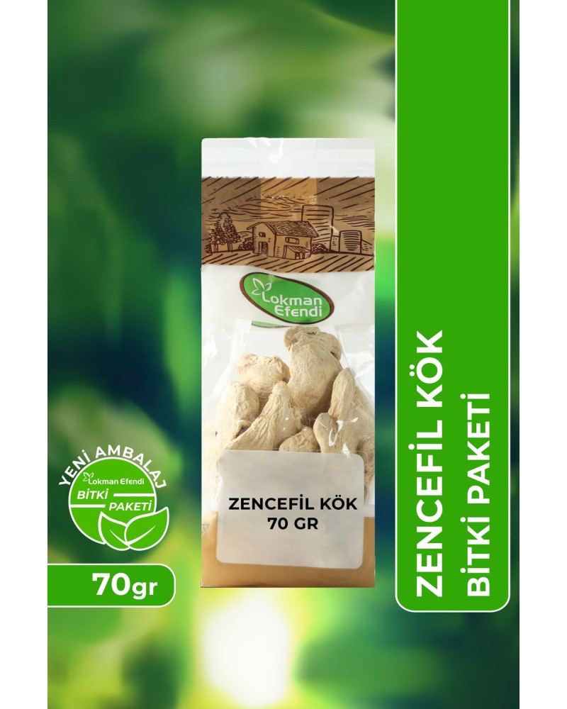 Vhp Zencefil Kök